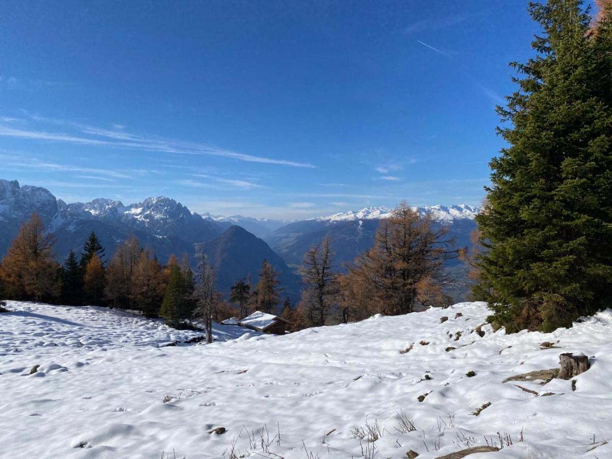 Haus Monika Daire Dölsach Dış mekan fotoğraf